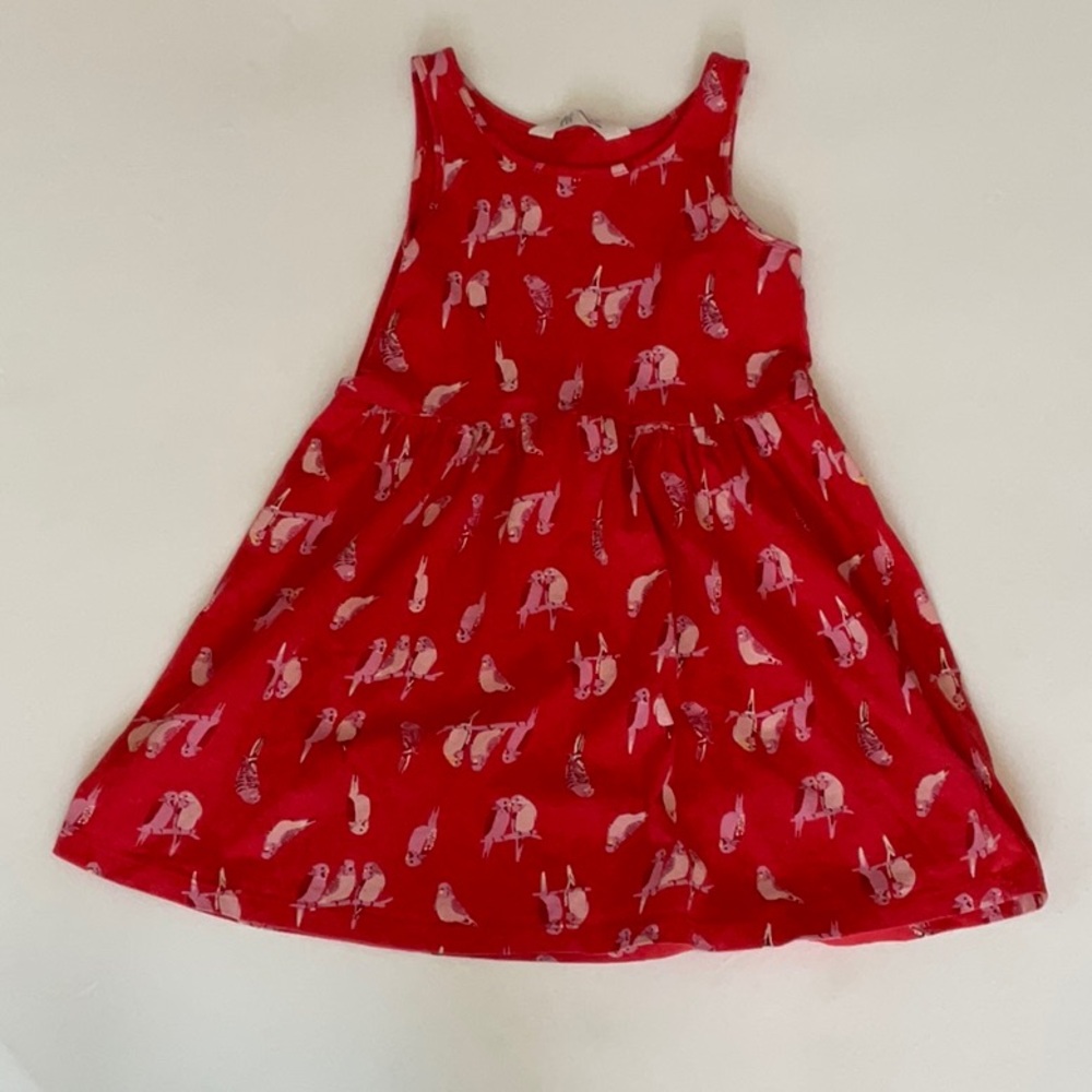H&M Red Dress with Bird Pattern